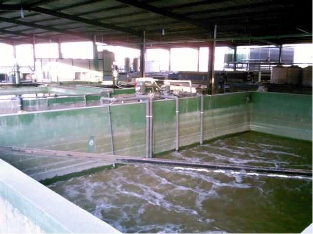 富生源环保长期承接重金属废水处理工程